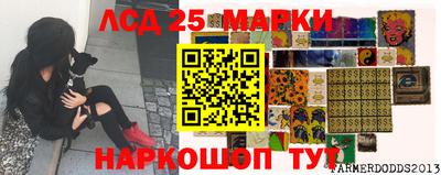 а пвп мука Беслан