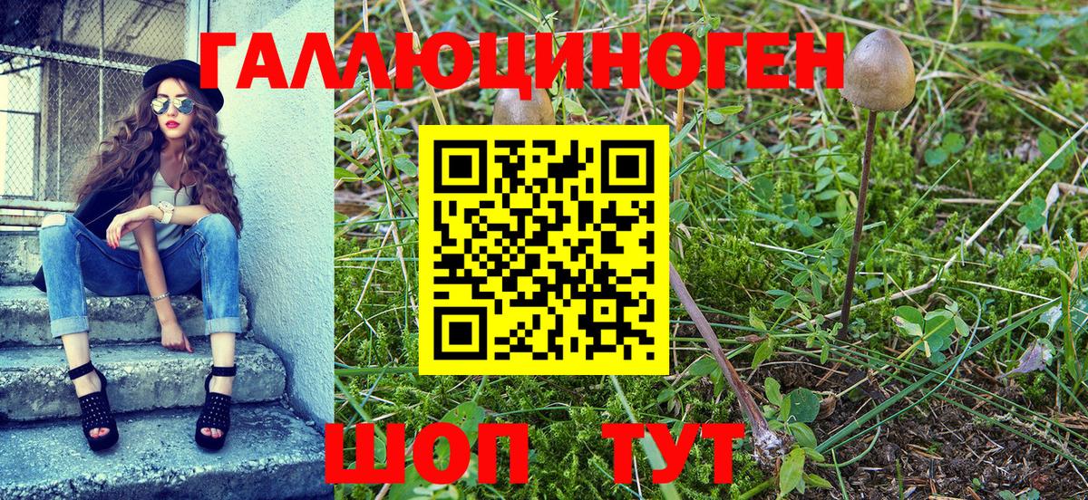 Галлюциногенные грибы мухоморы Тобольск