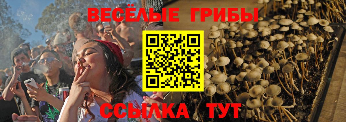 Псилоцибиновые грибы Cubensis  Вход с VPN  Тобольск  Галлюциногенные грибы прущие грибы 