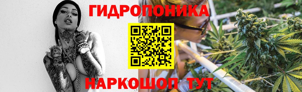 Конопля сатива  Бошки Шишки конопля  Тобольск  Бошки марихуана план  Вход с VPN 